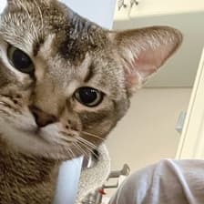 Profile picture for Andrea Lai