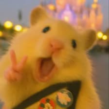 Profile picture for Iha Agarwal