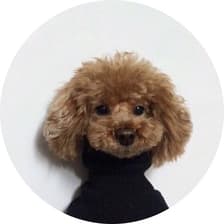 Profile picture for Sofi Alejandro