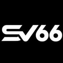 Profile picture for SV66