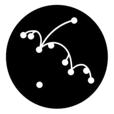 Profile picture for Is Not Music