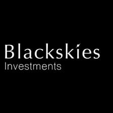 Profile picture for Blackskies Investments