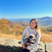 Profile picture for Zaya Amgaabaatar