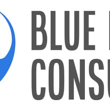 Profile picture for Blue Manta Consulting