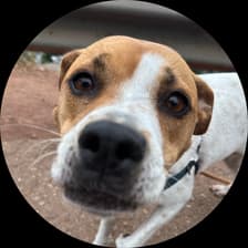 Profile picture for Catherine Seo