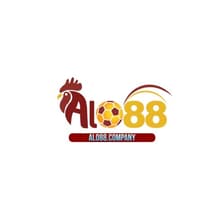 Profile picture for Alo88 company
