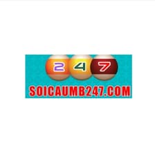 Profile picture for Soi cầu 247