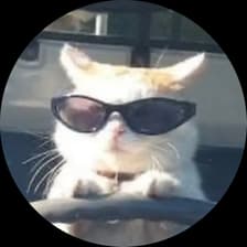 Profile picture for Moataz