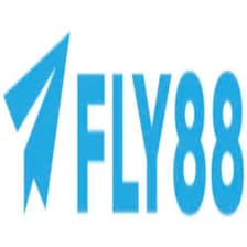 Profile picture for Fly 88