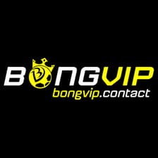 Profile picture for BONGVIP