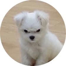 Profile picture for Wendy