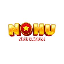 Profile picture for NOHU90