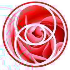 Profile picture for Julie Schmidt