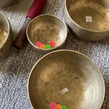 Profile picture for Thierry