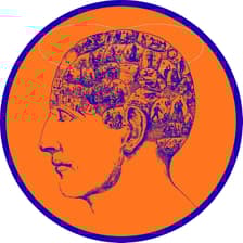 Profile picture for AI Culture Lab @NetworkSchool