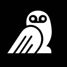 Profile picture for Coeus Collective Ventures