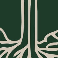 Profile picture for Delvon Worthy