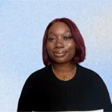 Profile picture for Plamédie Bola