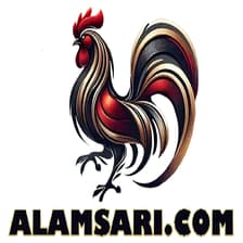 Profile picture for ĐÁ GÀ TRỰC TIẾP THOMO RUN
