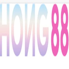 Profile picture for Hong88 Bid