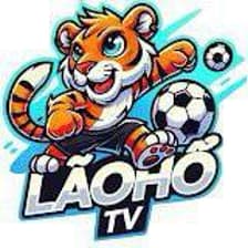 Profile picture for laohotv