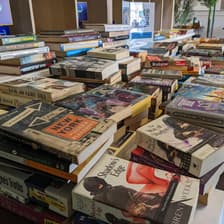 Profile picture for Darling Scholar