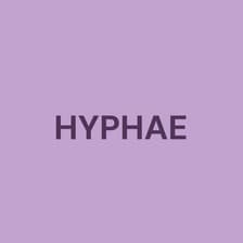 Profile picture for Hyphae Space