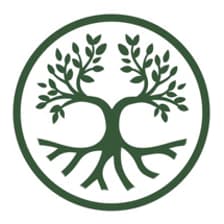 Profile picture for Benjamin Tree