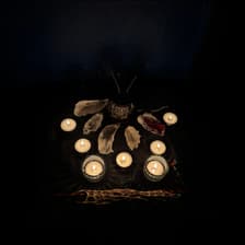 Profile picture for day