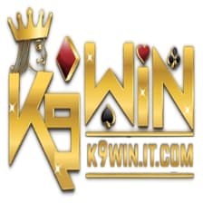 Profile picture for K9WIN it com