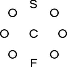 Profile picture for SOCIAL CAPITAL FOUNDATION