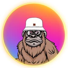 Profile picture for Jake Penzato