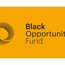 Profile picture for Black Opportunity Fund
