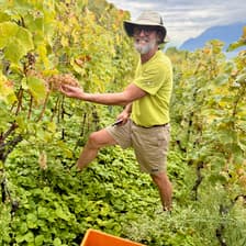 Profile picture for Xavier F