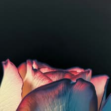 Profile picture for Zeng