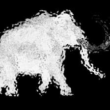 Profile picture for Mamuta Art and Research Center