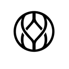 Profile picture for Ydun - Life Maximized