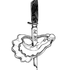 Profile picture for The Saltwater Writers' Collective