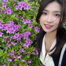 Profile picture for Jihee Woo
