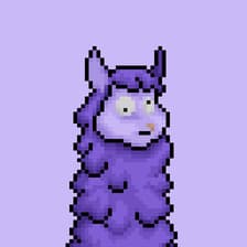 Profile picture for Llamao