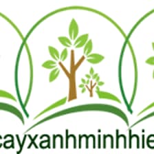 Profile picture for Cây Xanh Minh Hiếu