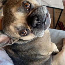 Profile picture for Caruso Caruso