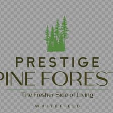 Profile picture for Prestige Pine Forest
