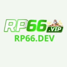 Profile picture for RP66