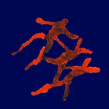 Profile picture for NERA COLLECTIVE