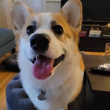 Profile picture for Qin Zhang