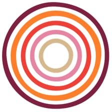 Profile picture for IDG Foundation