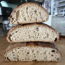 Profile picture for Laila O'Boyle