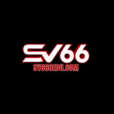 Profile picture for SV66