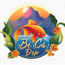 Profile picture for Bể cá đẹp